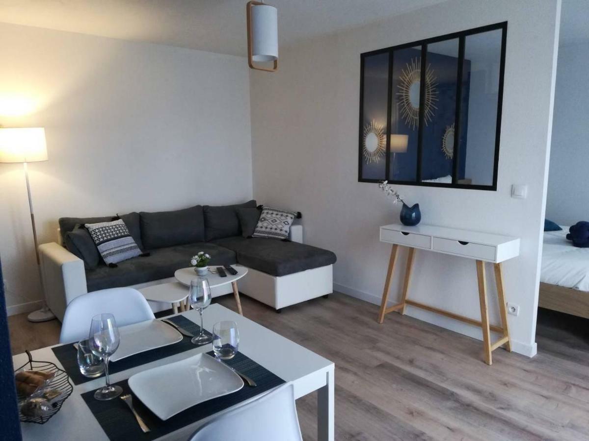 Appartement Cosy Proche Meteo France Et Airbus Tuluza Zewnętrze zdjęcie